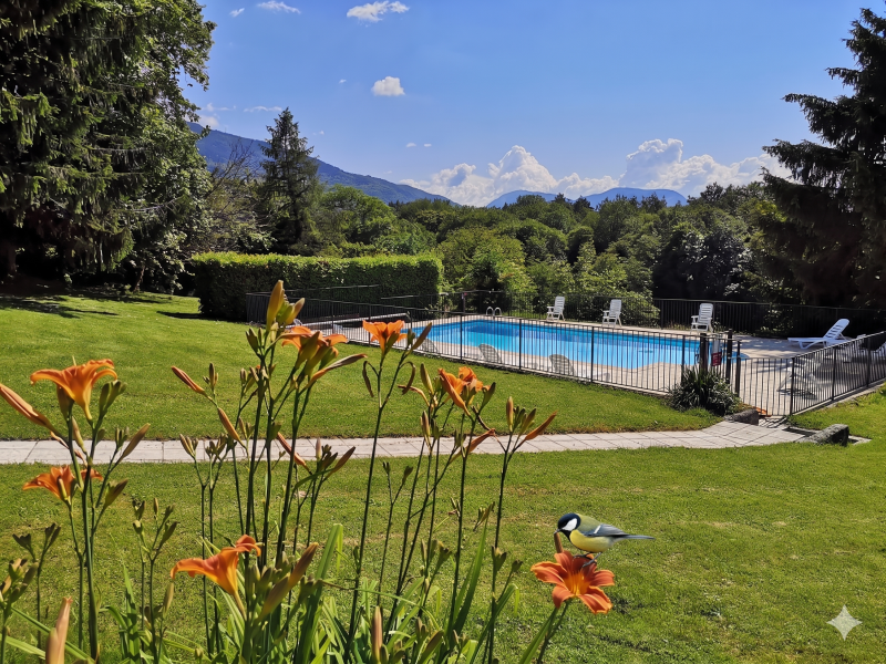 photo-piscine-fleur-mesange-2