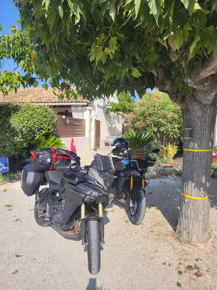 Photo de LE MAS DES AMANDIERS